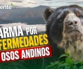 Noticias de Ecuador hoy. Podcast Noti Oriente [22 de mayo de 2026]