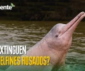 Noticias de Ecuador hoy. Podcast Noti Oriente [29 de junio de 2026]