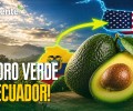 Noticias de Ecuador hoy. Podcast Noti Oriente [6 de julio de 2026]