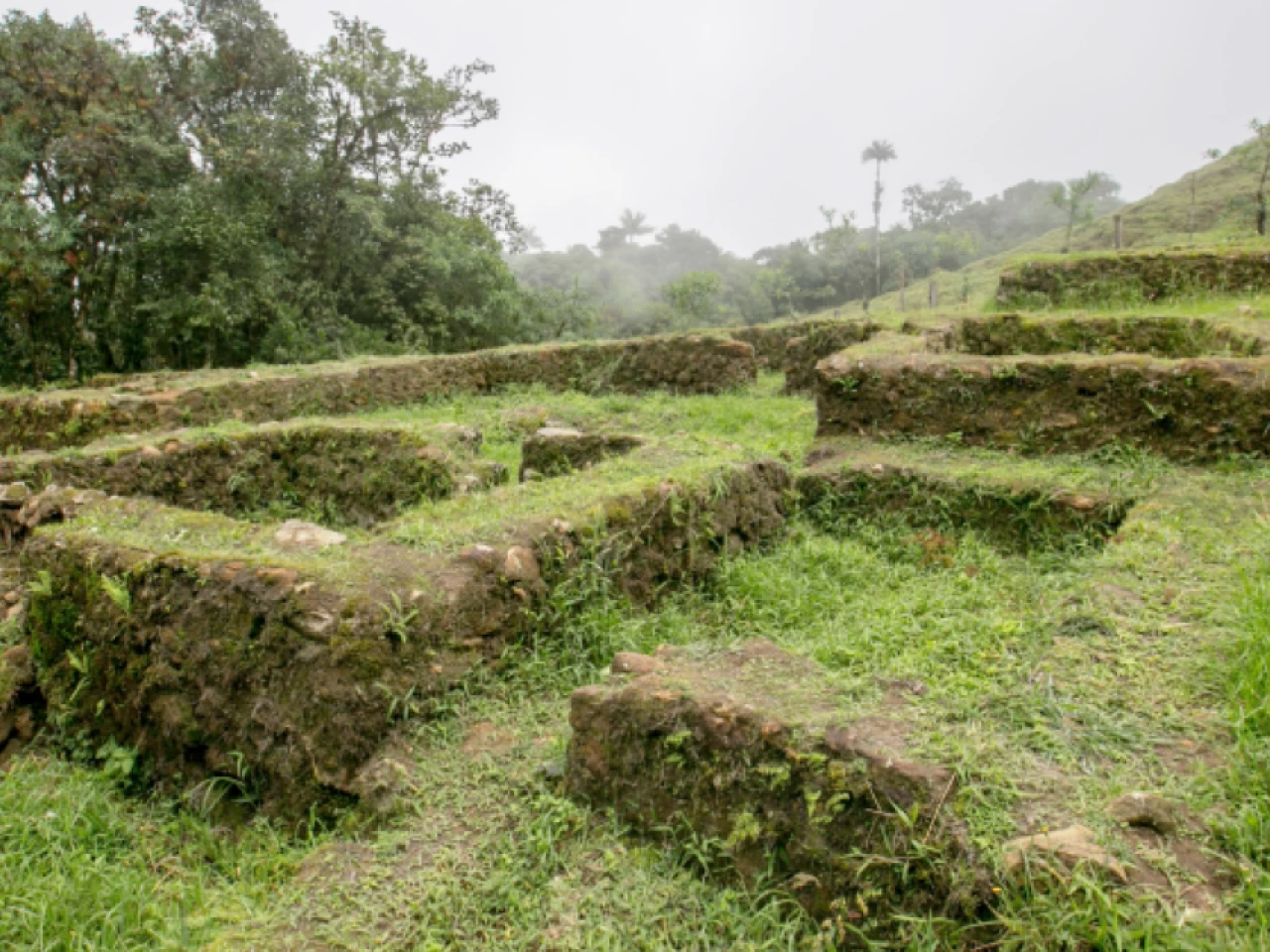 Ecuador impulsa nuevas postulaciones a la UNESCO y recupera documento histórico