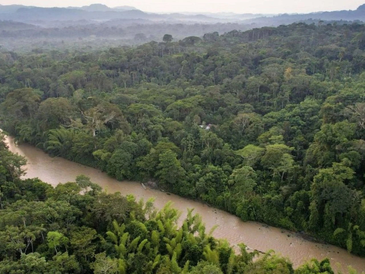 TNC contabilizó 197 especies de peces en Nushino-Curaray-Villano 