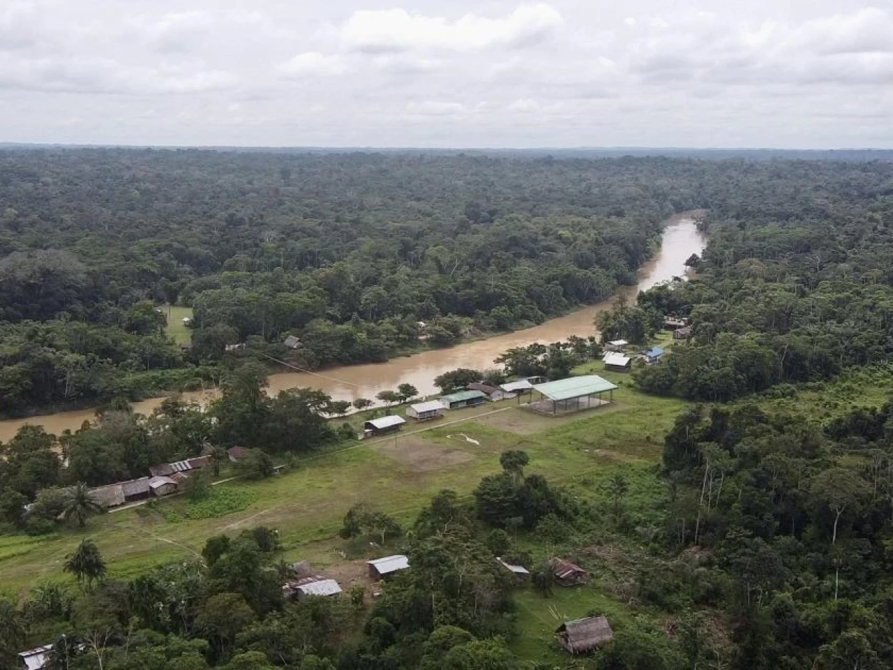 El Parque Nacional Yasuní alberga 458 especies de peces