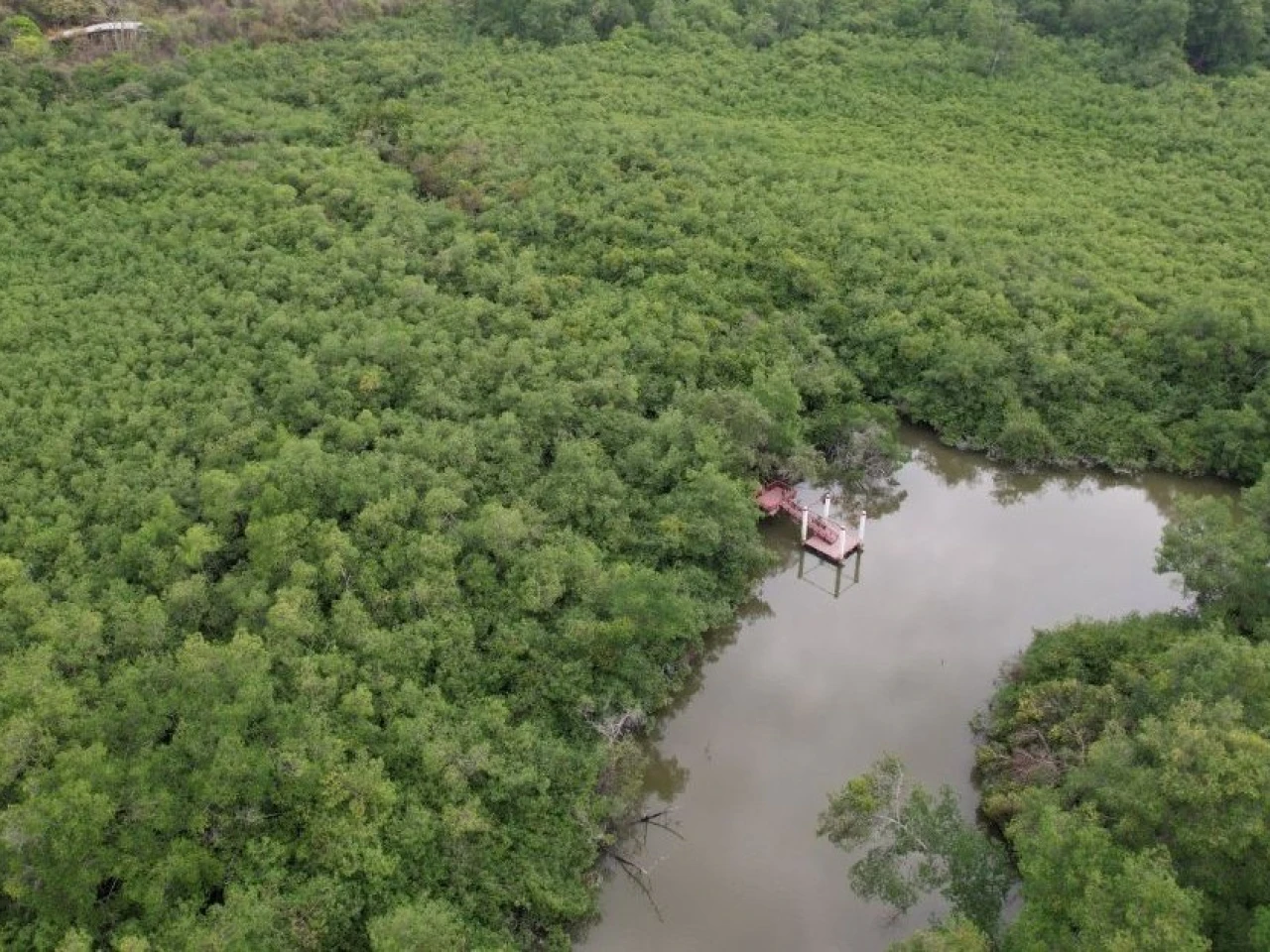 Ecuador postula cinco joyas naturales ante la UNESCO para ser Patrimonio Mundial
