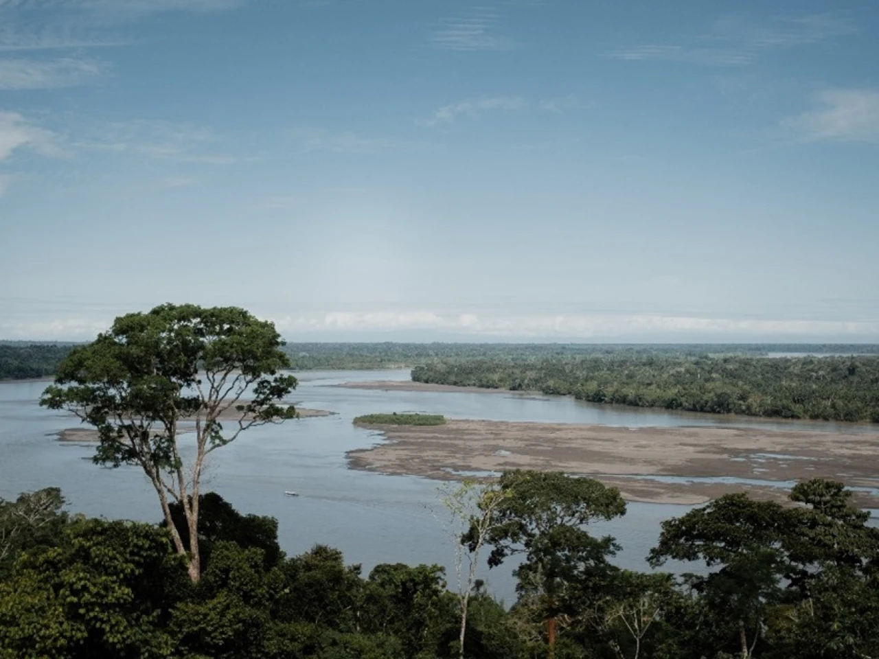 30 mil hectáreas de bosques fueron conservadas por emprendimientos indígenas 