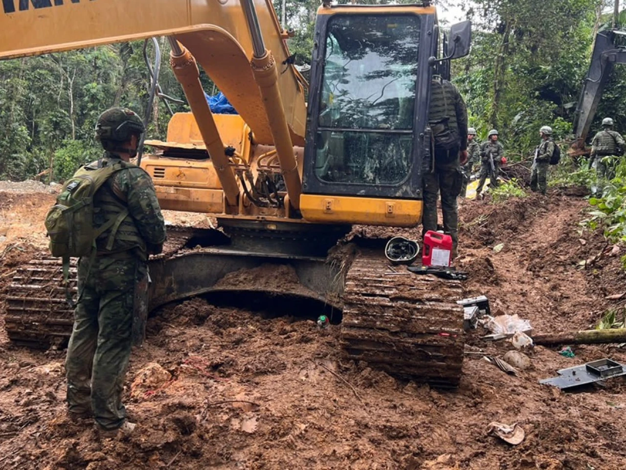 Países se unen para combatir delitos ambientales en la Amazonía