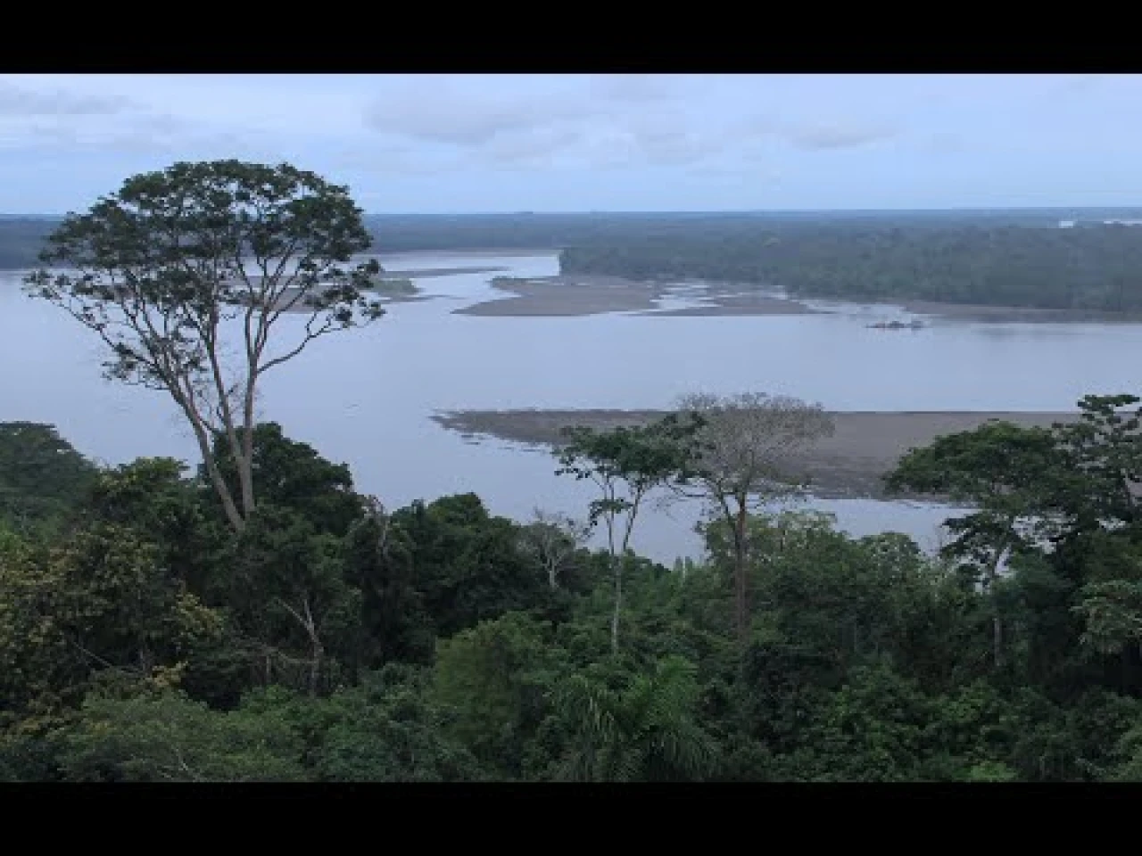 10 curiosidades de la Amazonía ecuatoriana