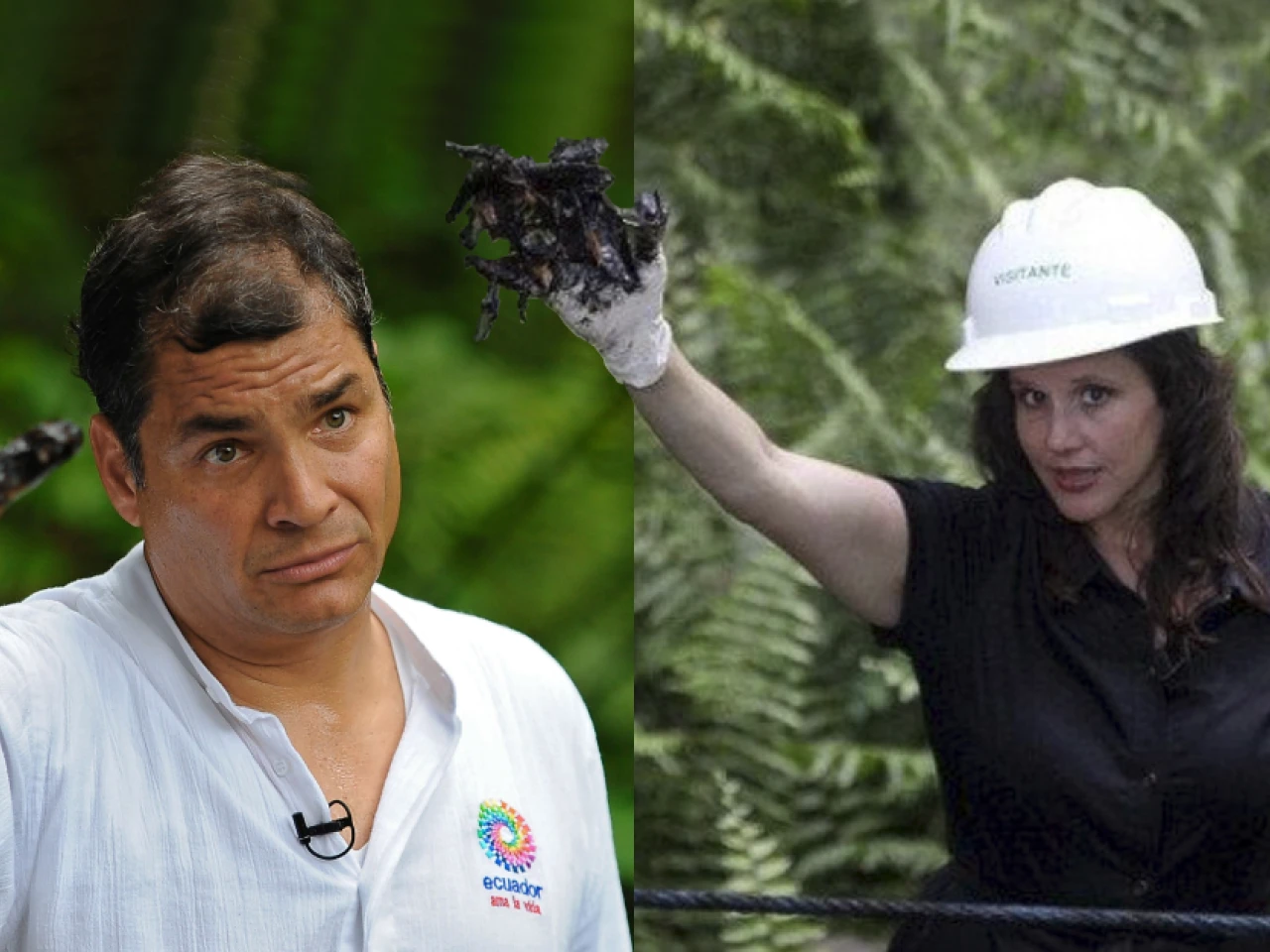‘La mano sucia’ de Correa apoyando el fraude contra Chevron fue ‘plata perdida’ 