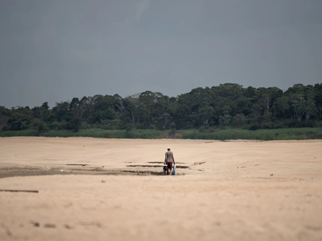 Los principales ríos de la Amazonía brasileña están en sus mínimos históricos