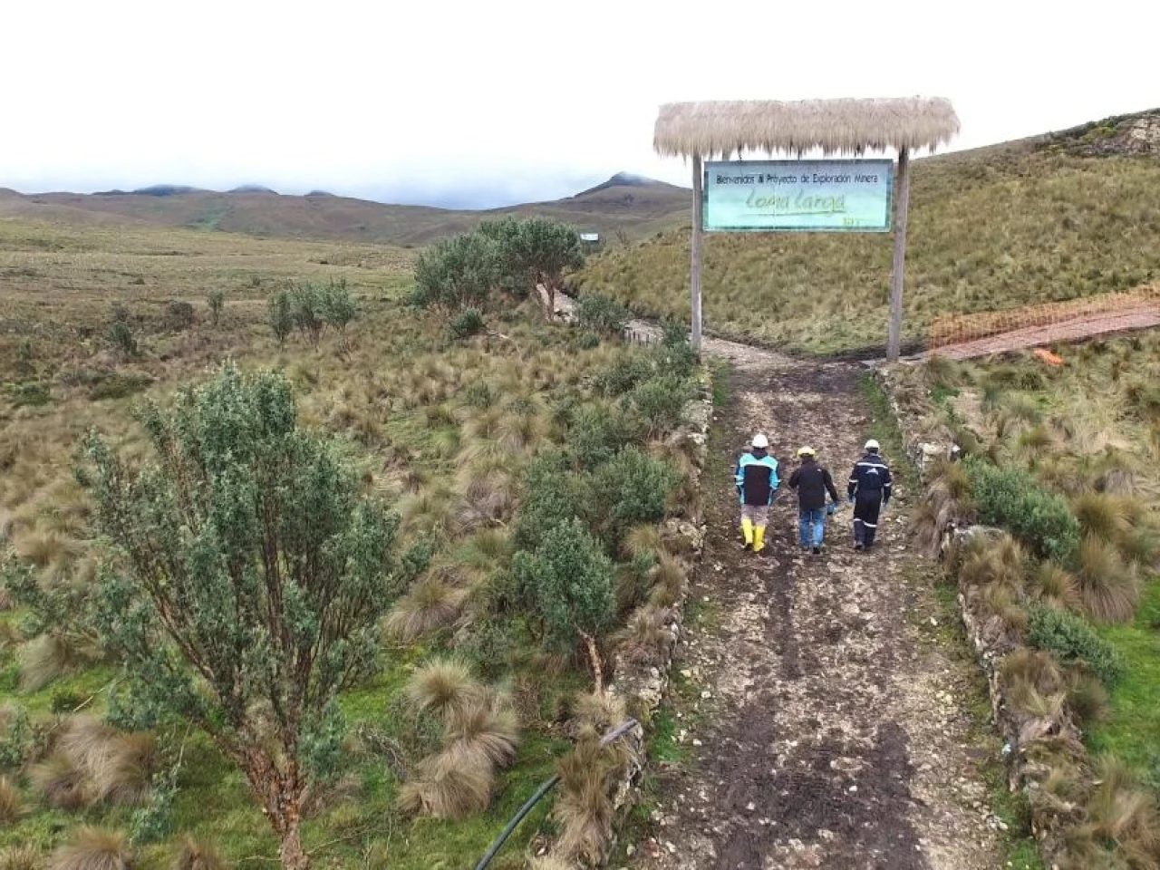 DPM evalúa acciones legales tras la revocatoria ambiental