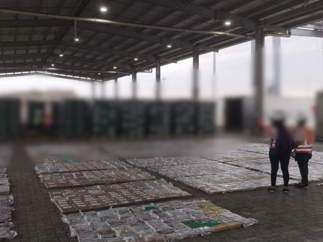 Ecuador supera este año las 282 toneladas de drogas decomisadas