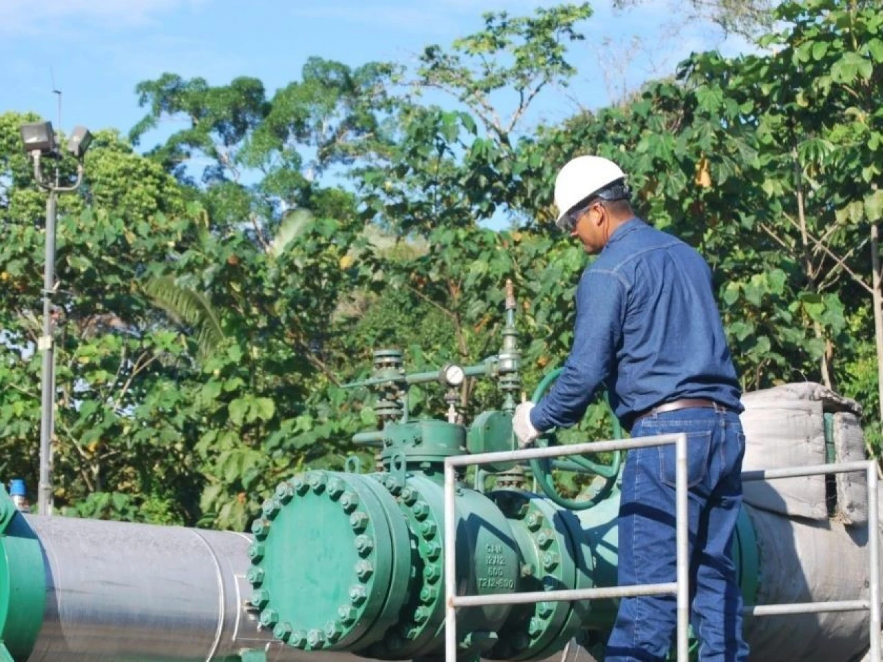 14 petroleras privadas operan en Ecuador en 2025 