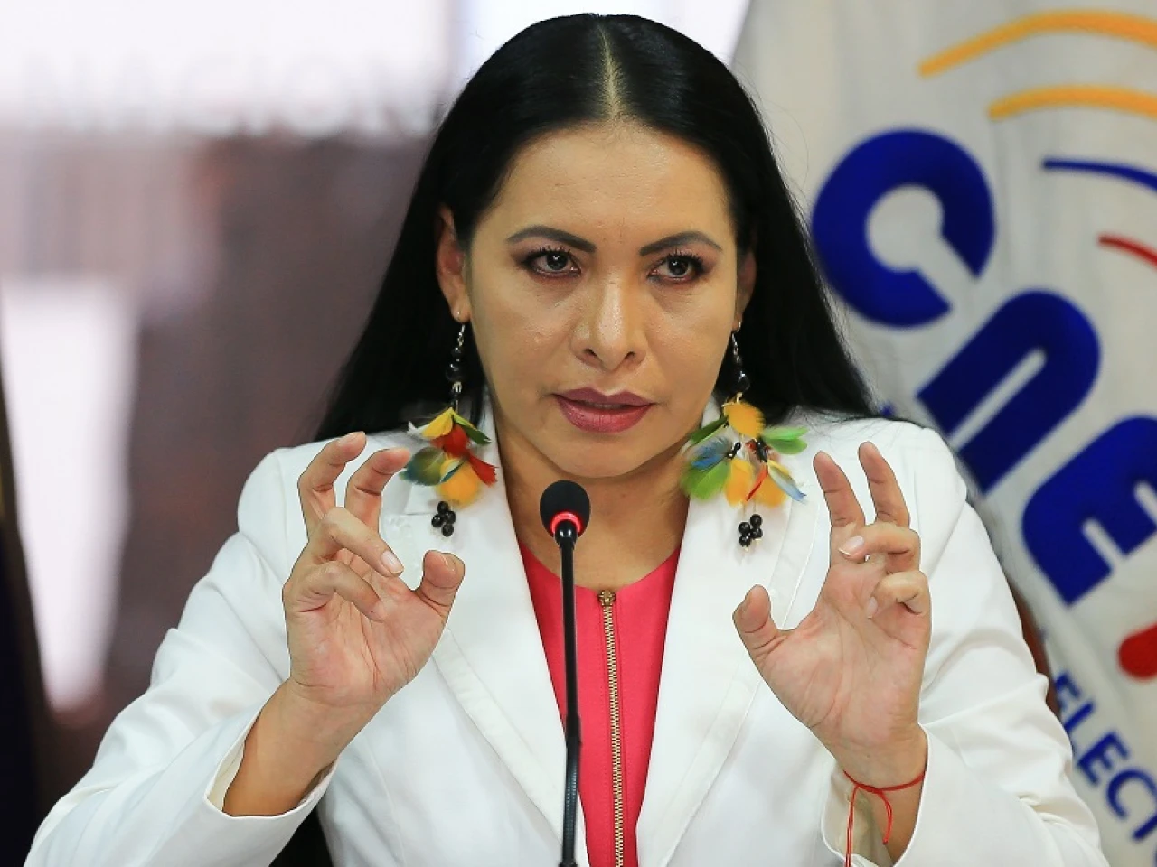 Correístas tienen 48 horas para designar un nuevo candidato vicepresidencial
