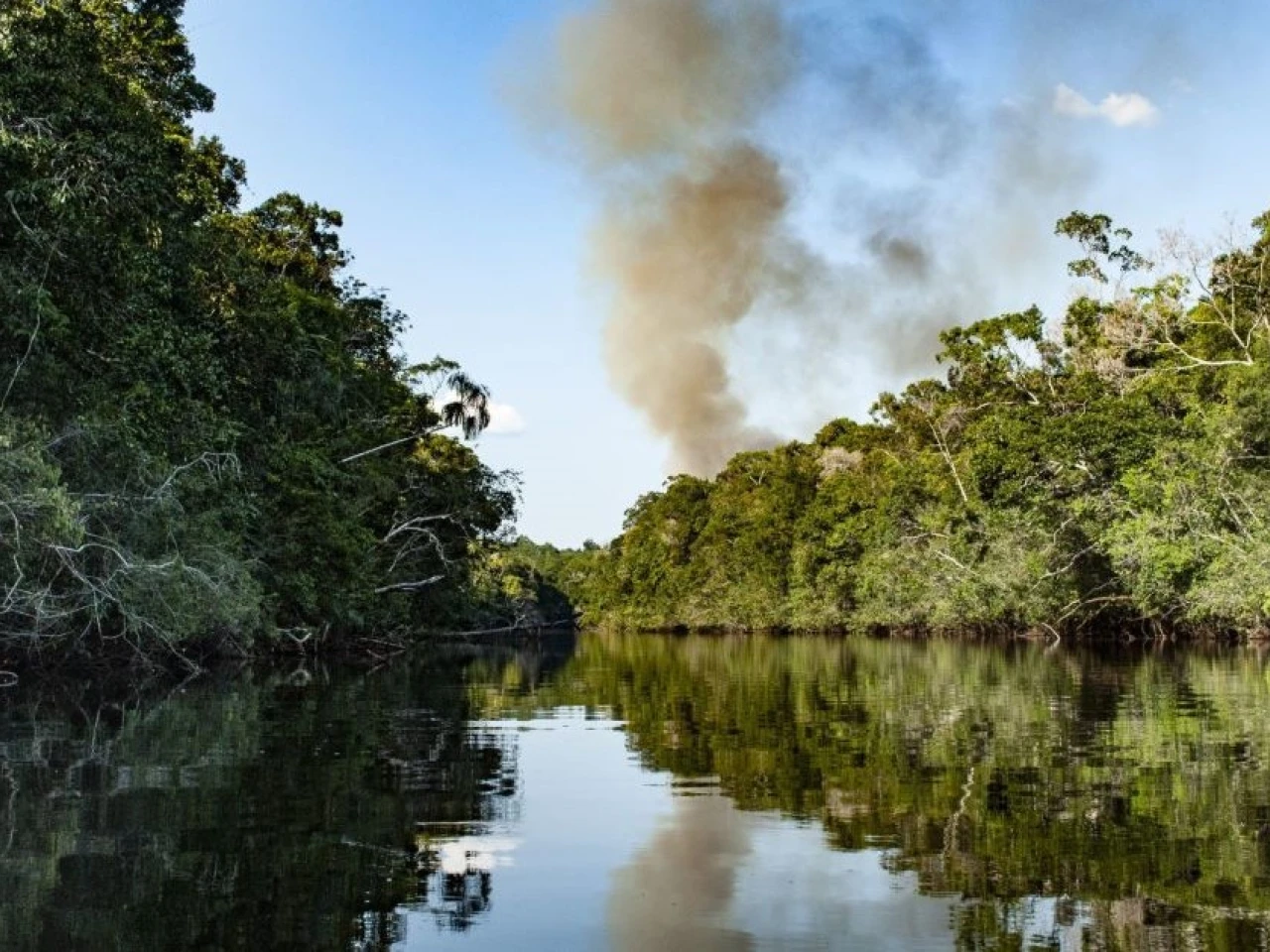 Colombia: Corte Constitucional suspendió licencias en Orinoquía y la Amazonía 