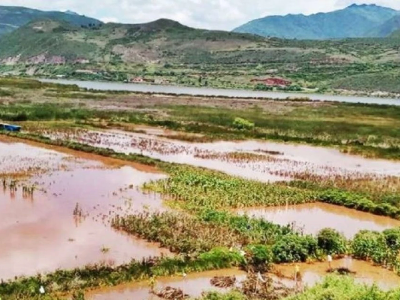 Lluvias intensas en Ecuador dejan pérdidas millonarias en el sector agrícola 
