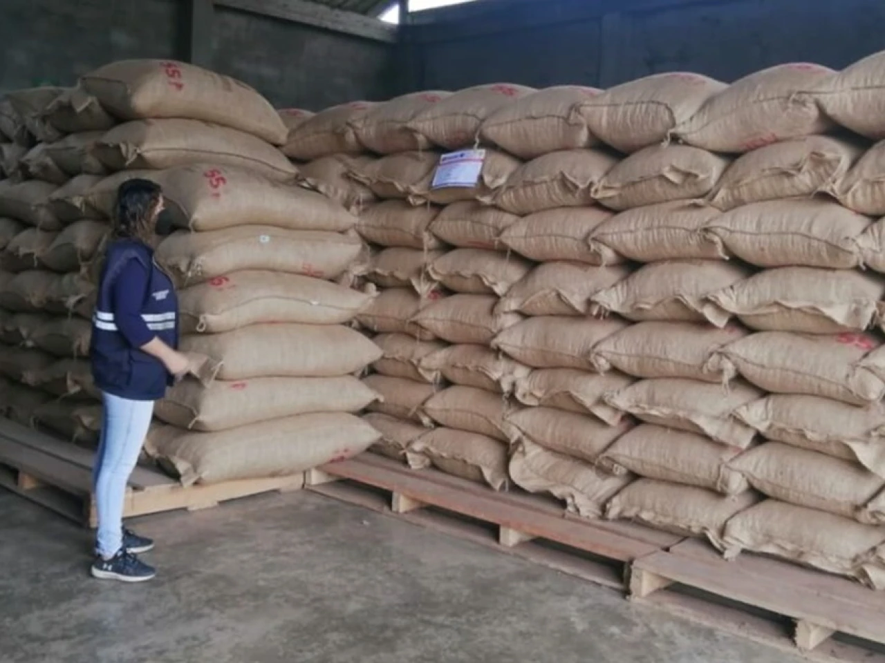 El boom del cacao ha atraído la atención del crimen organizado