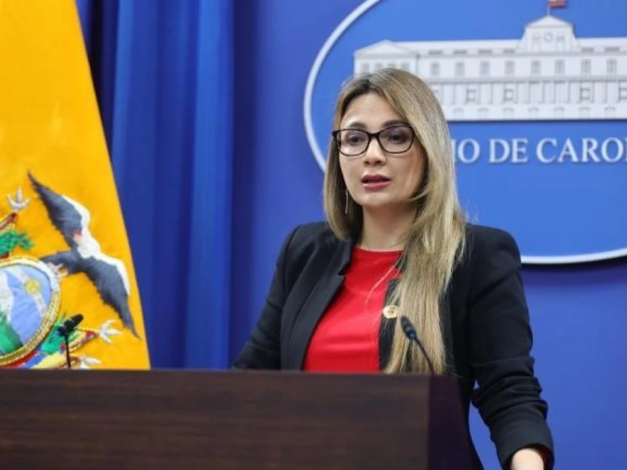 Gobierno reconoció alza en el consumo de GLP