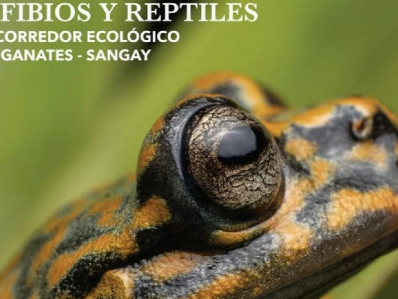 Guía sobre corredor Llanganates-Sangay será presentada