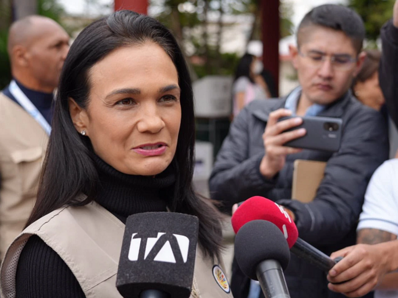 "La democracia triunfó sobre el miedo y la violencia", valora misión de la OEA