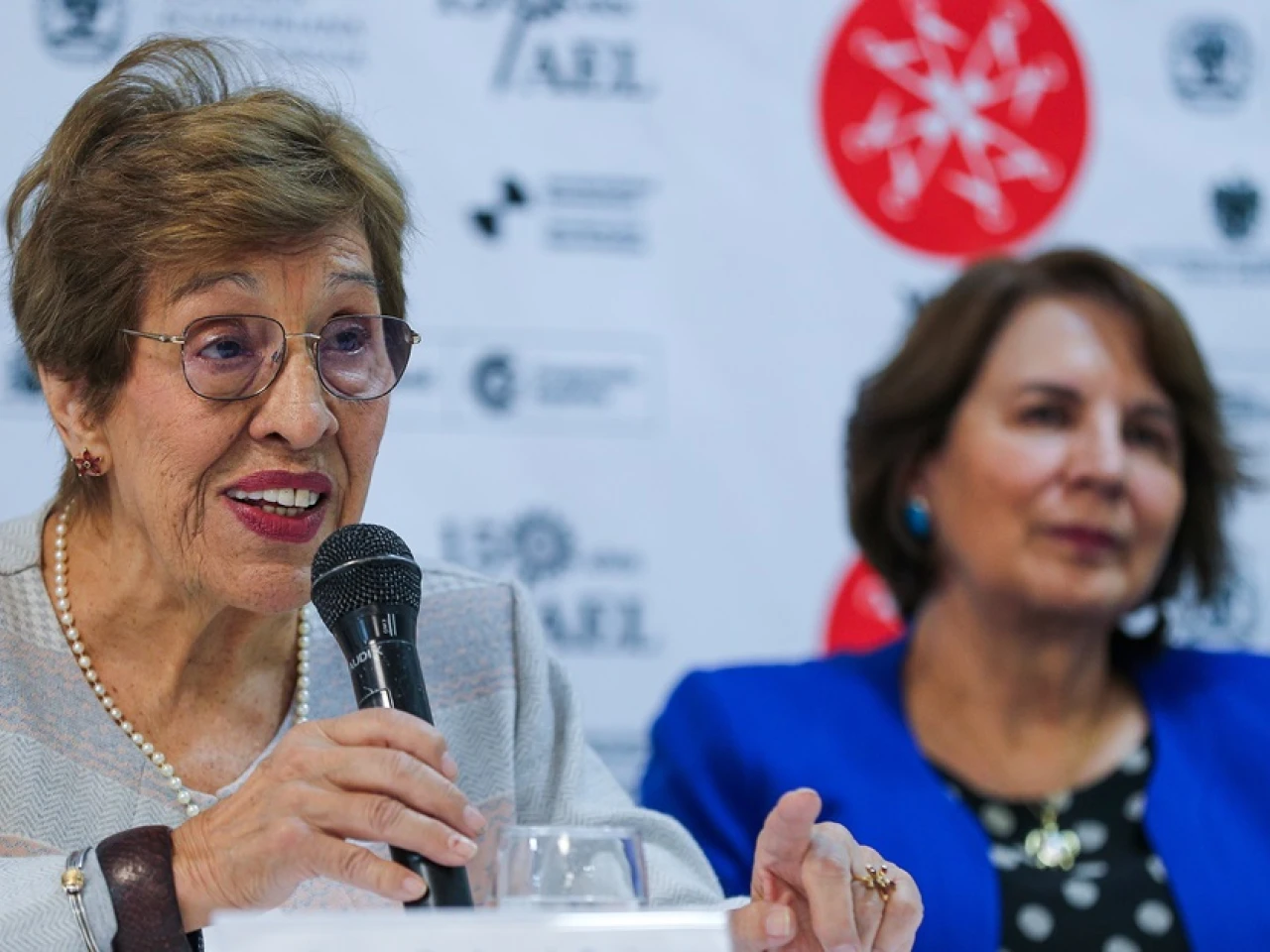 La Academia de la Lengua presentará el "Diccionario académico de ecuatorianismos"