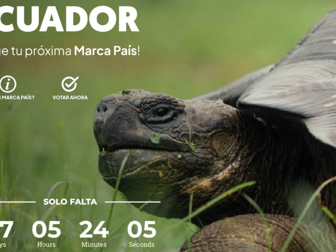 Ecuador presentará su nueva marca país en Madrid en Fitur 2024