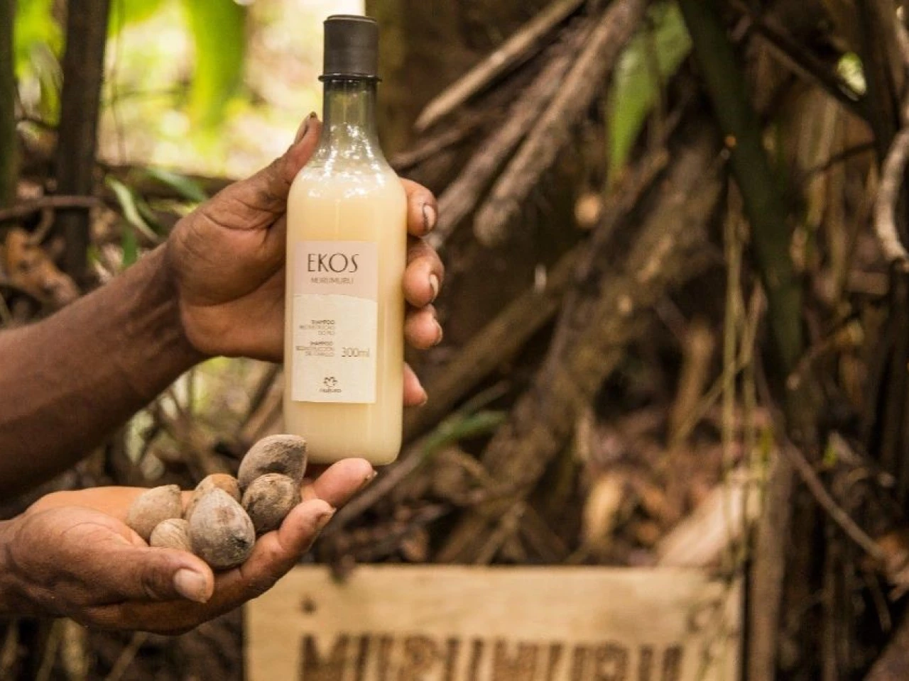 La industria cosmética dirige su mirada a los frutos amazónicos 