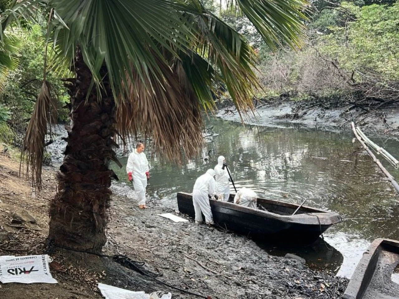 Estero Salado, contaminado por aceite, muestra "signos de recuperación ambiental" 