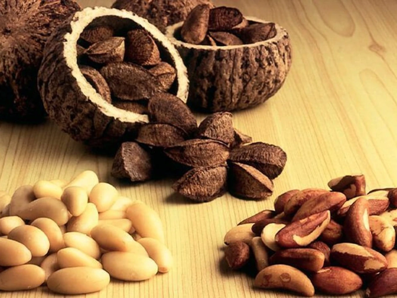 Perú: Castaña amazónica generó US$ 48 millones en exportaciones