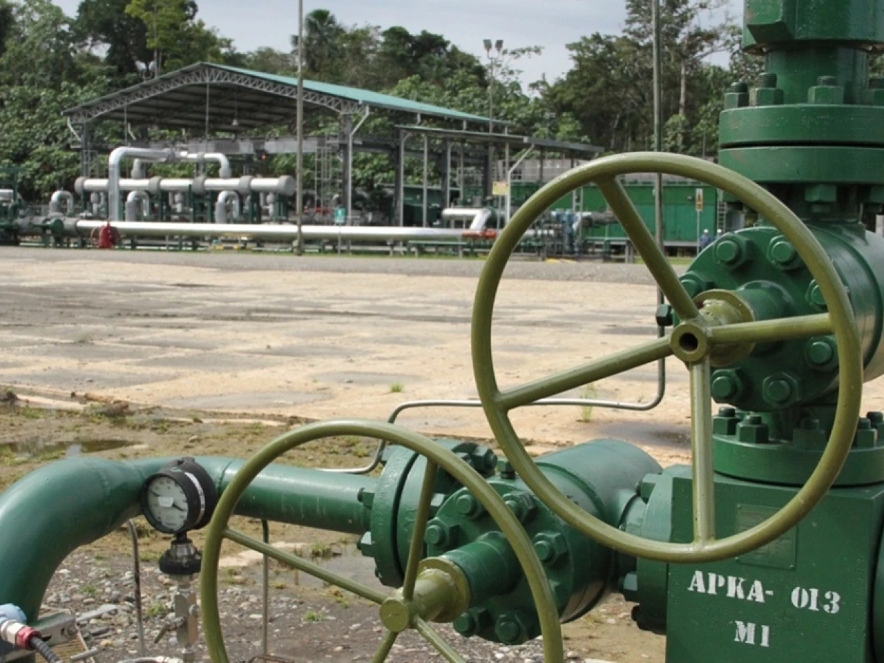 El petróleo WTI, referente de Ecuador, subió hasta los $ 79,08 el barril
