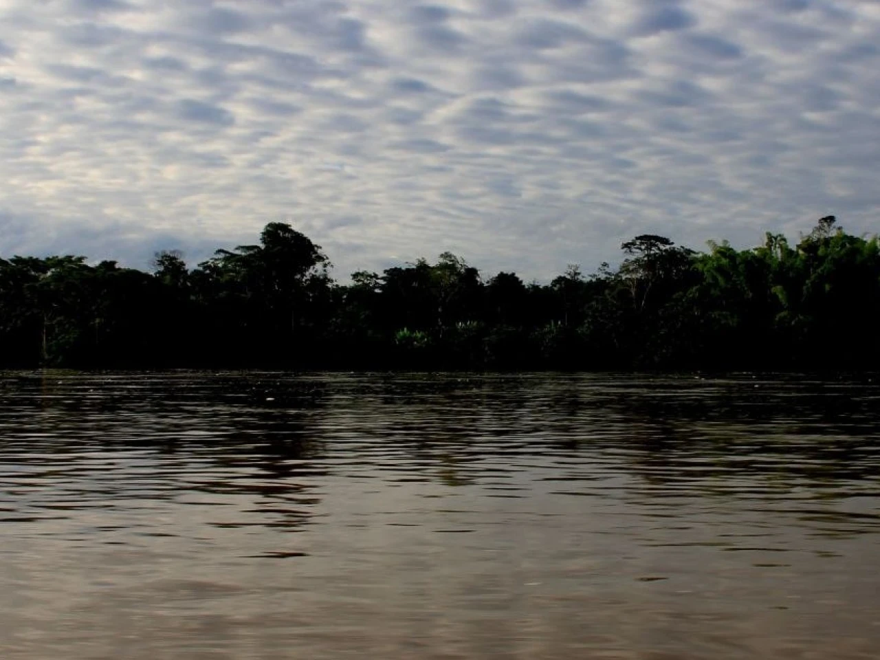 Ecuador recibió 3 premios por canje de deuda para conservar la Amazonía