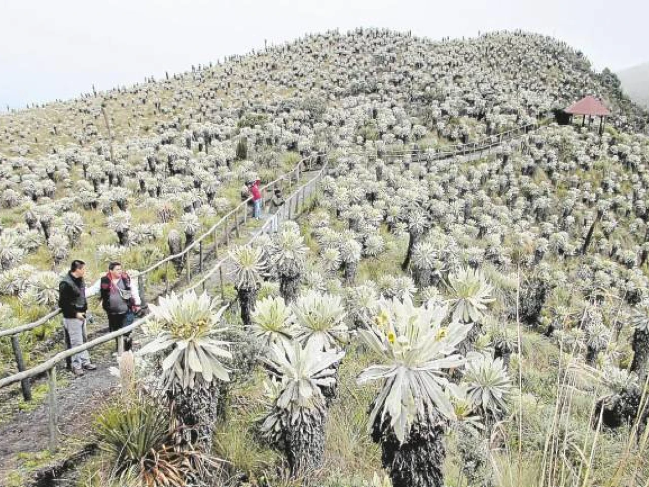 Ecuador y Colombia proponen reserva de biósfera binacional
