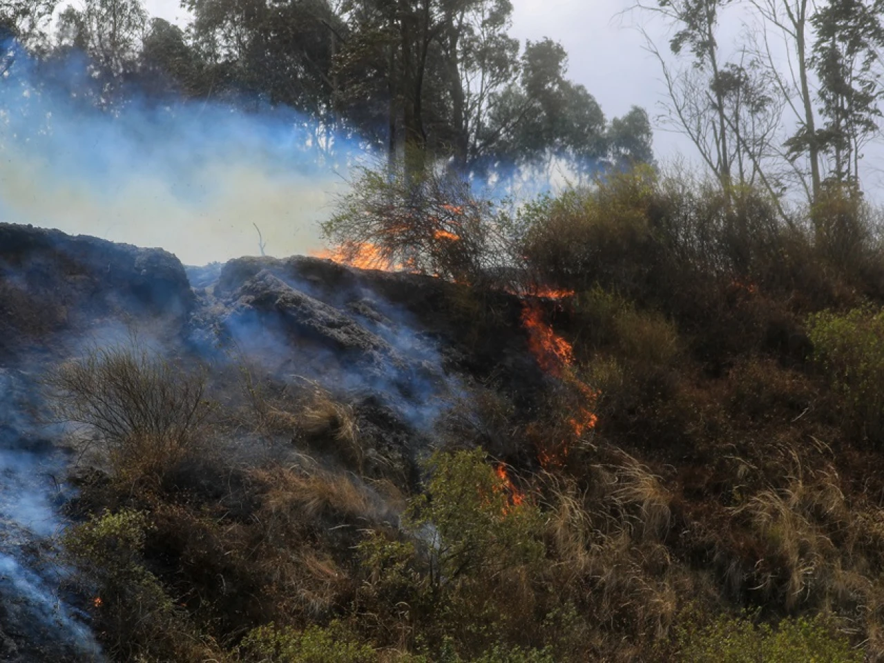 El Gobierno gestiona cooperación internacional para atender incendios