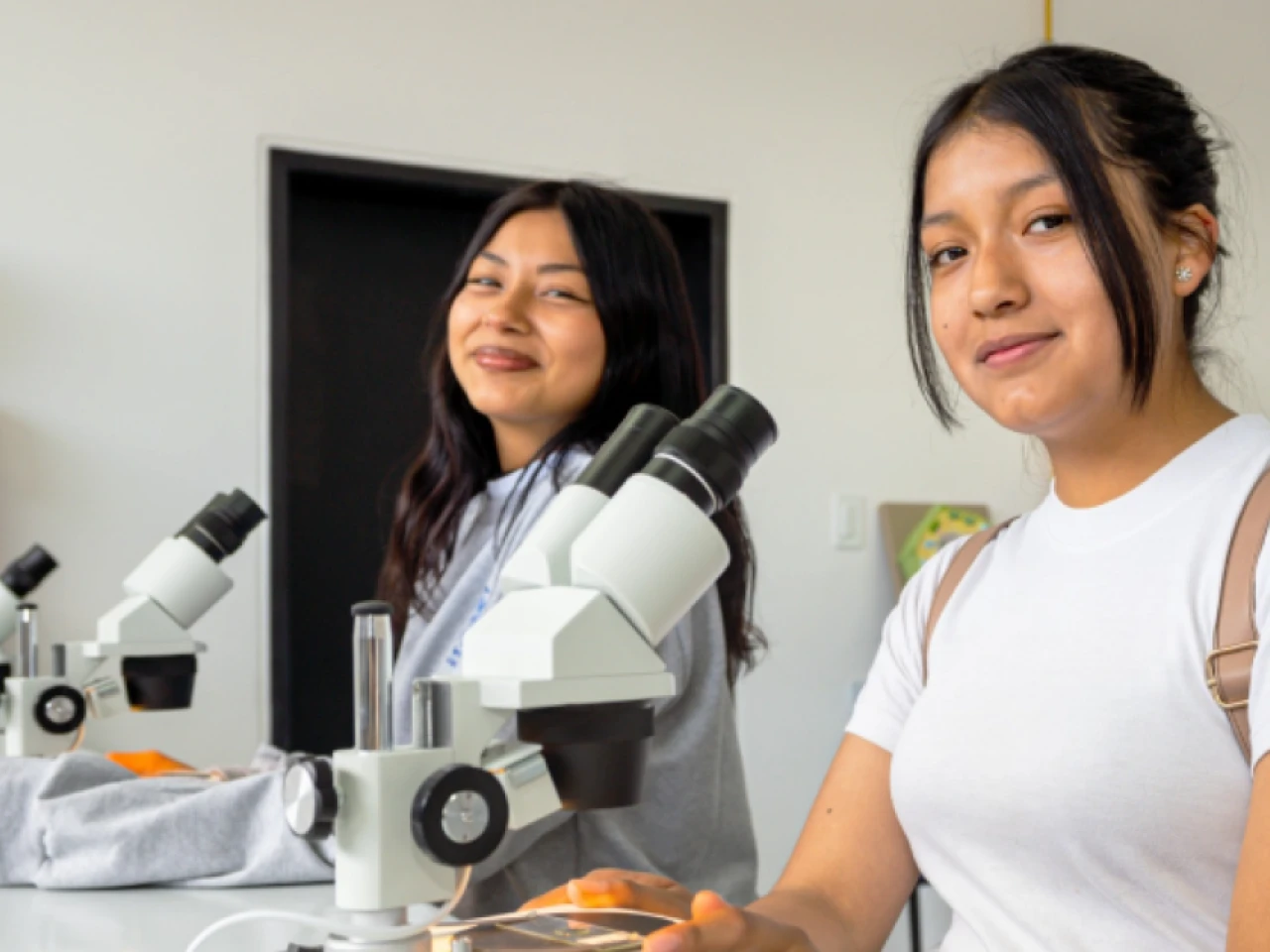 Ecuador y Perú reforzaron cooperación educativa en feria binacional
