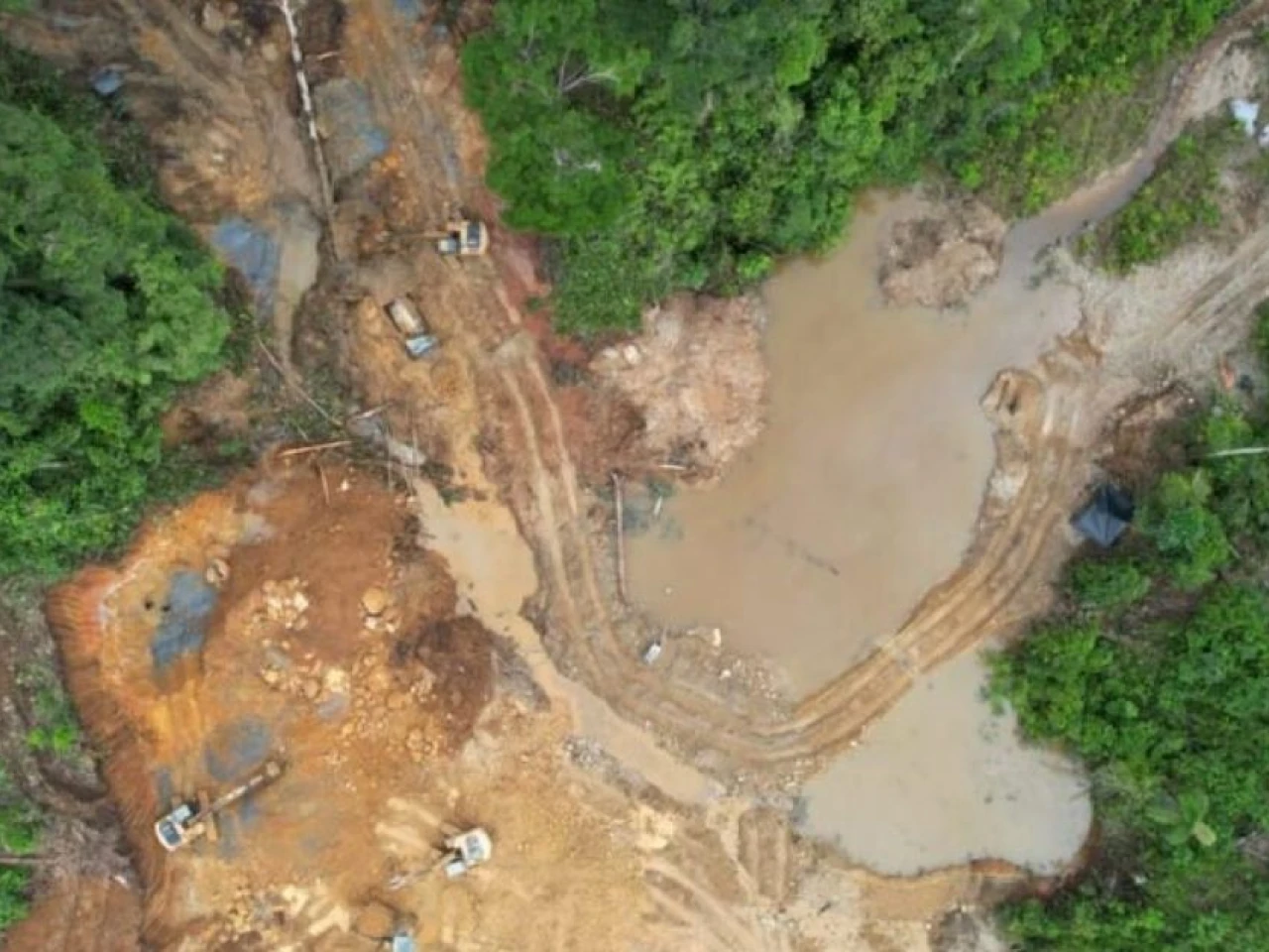Napo: Concesiones mineras de TerraEarth Resources fueron suspendidas 