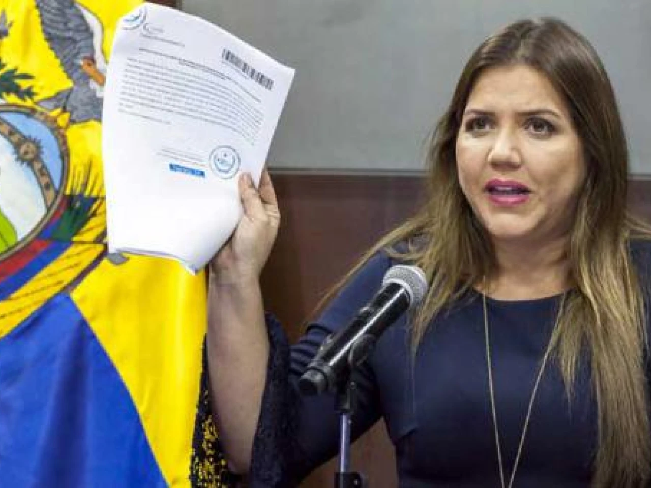 Vicuña fue vicepresidenta por 332 días