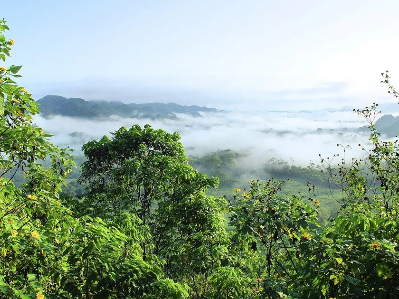 Ecuador busca otro canje de deuda por naturaleza 