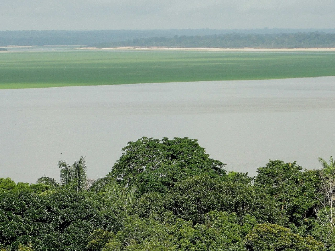 Francia finanza proyecto para proteger millones de hectáreas en la Amazonía