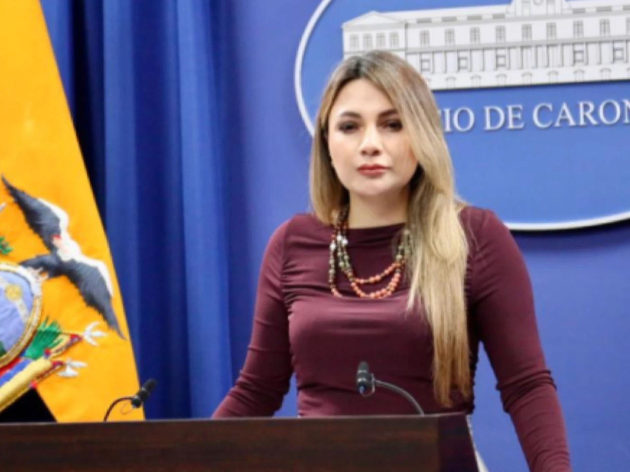 Gobierno perfila cooperación con EE.UU. y Brasil en seguridad
