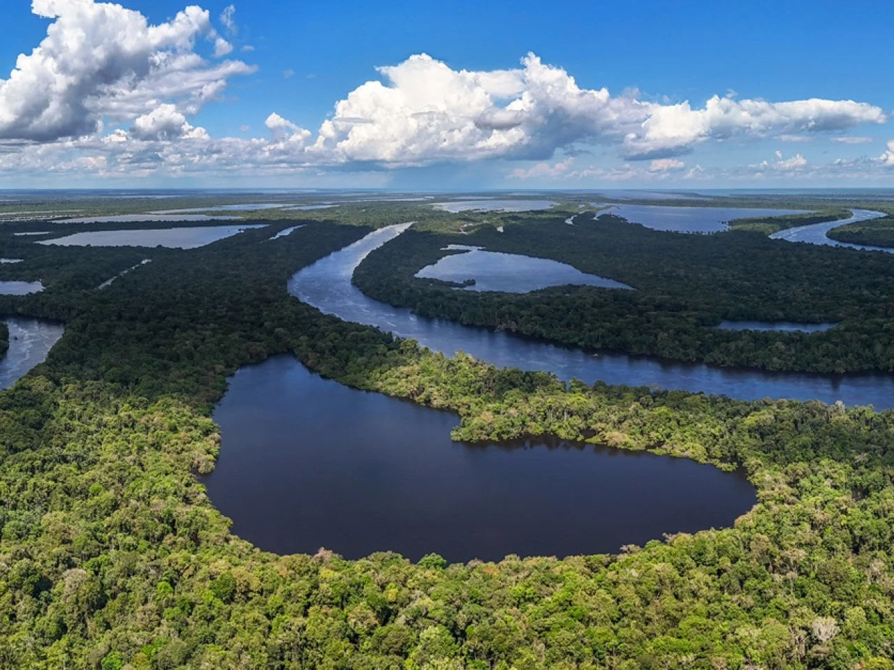 La Cruz Roja lanzó programa para combatir la crisis climática en la Amazonía
