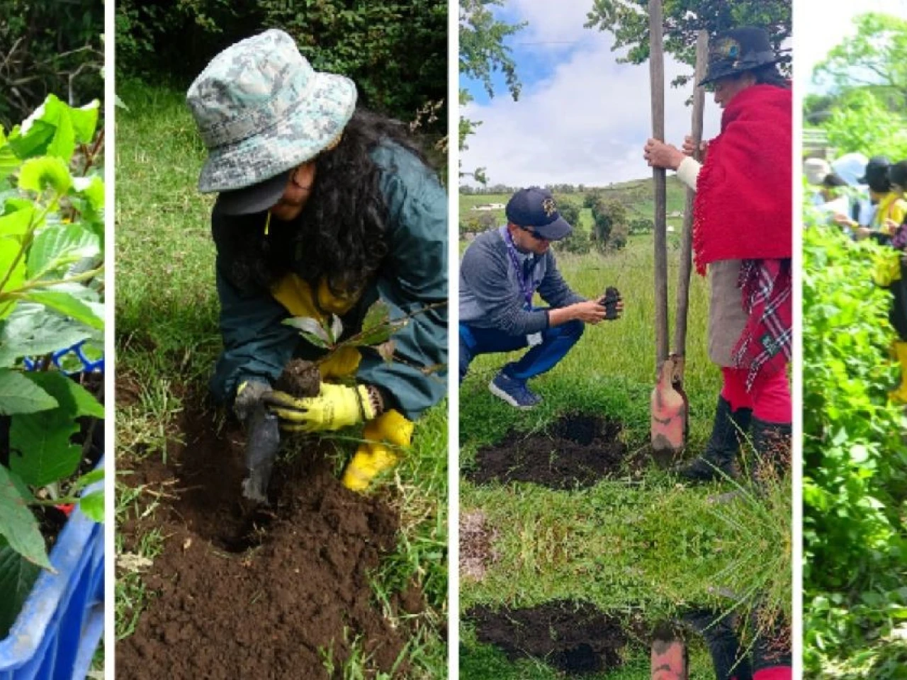 4.500 especies nativas se plantaron por el Día Internacional de los Bosques 