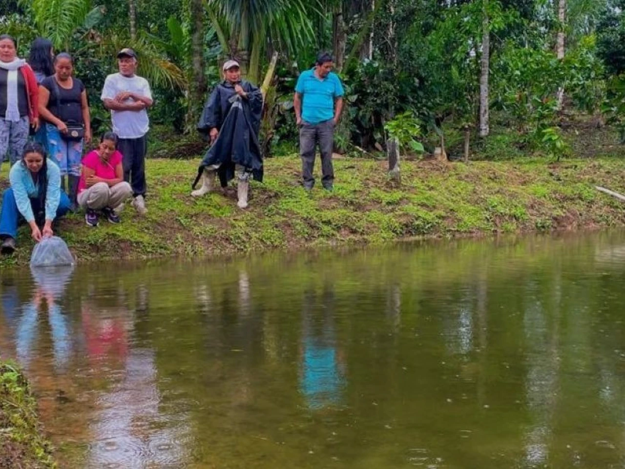 Productores amazónicos reciben alevines para fortalecer la piscicultura en Napo
