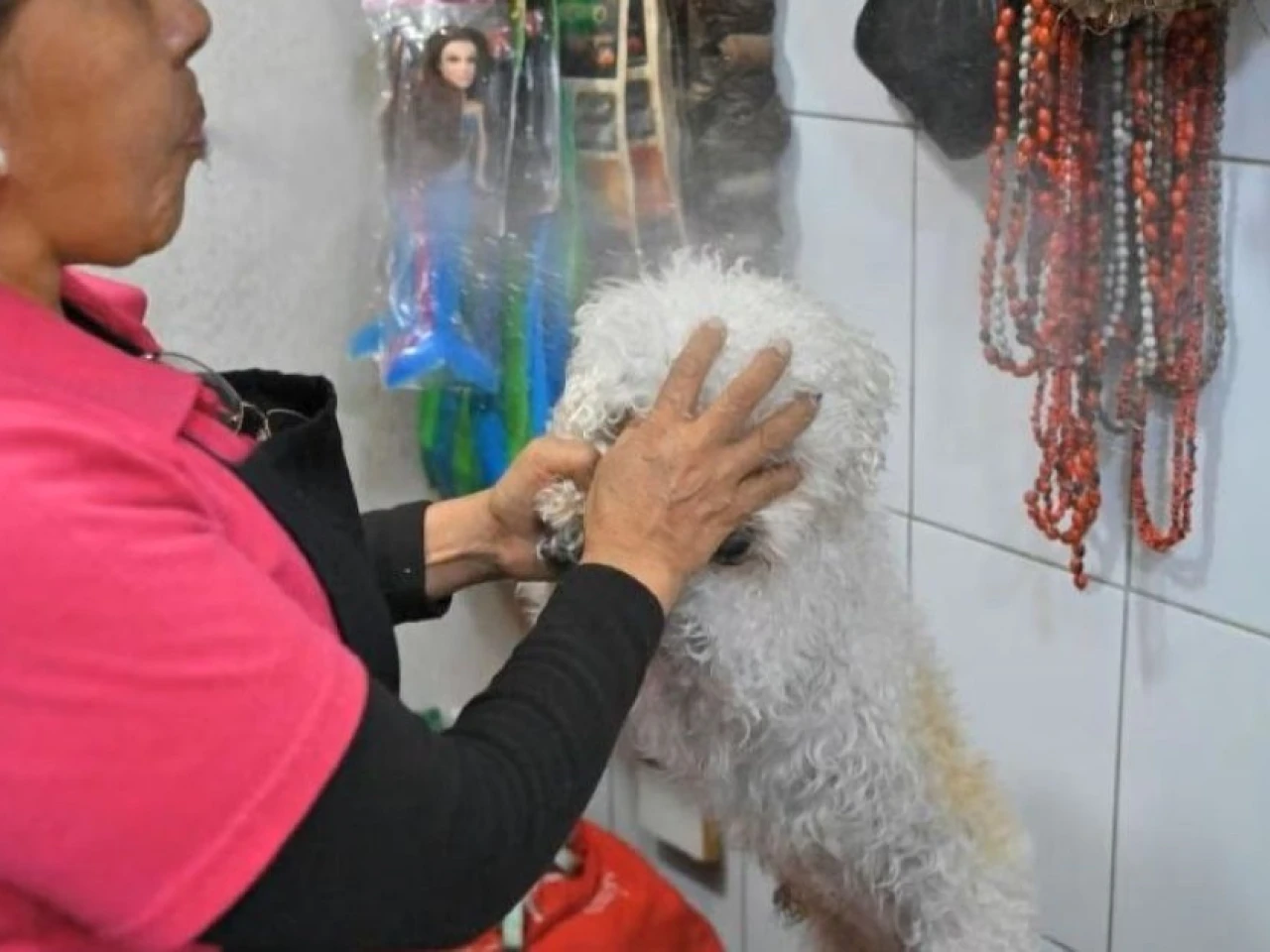 Medios internacionales ponen la mirada en las limpias espirituales para mascotas en Quito