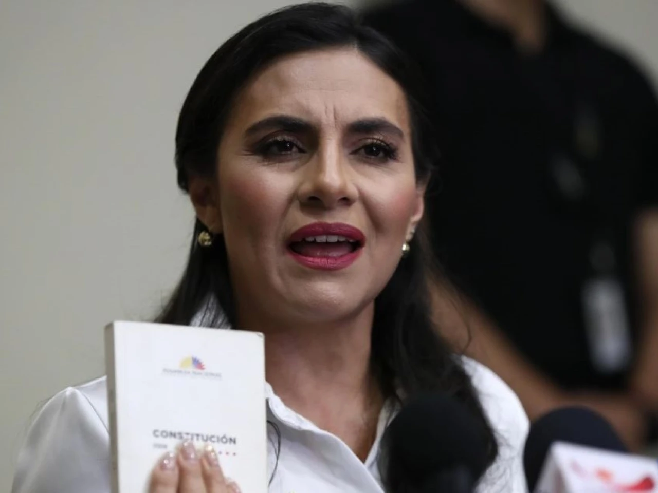 Abad: el Gobierno de Noboa quiere "tomarse el poder por la fuerza"