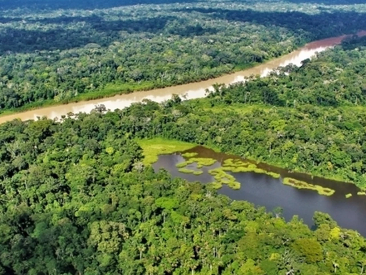 Euroclima destinó más 873.000 dólares para temas forestales en Ecuador