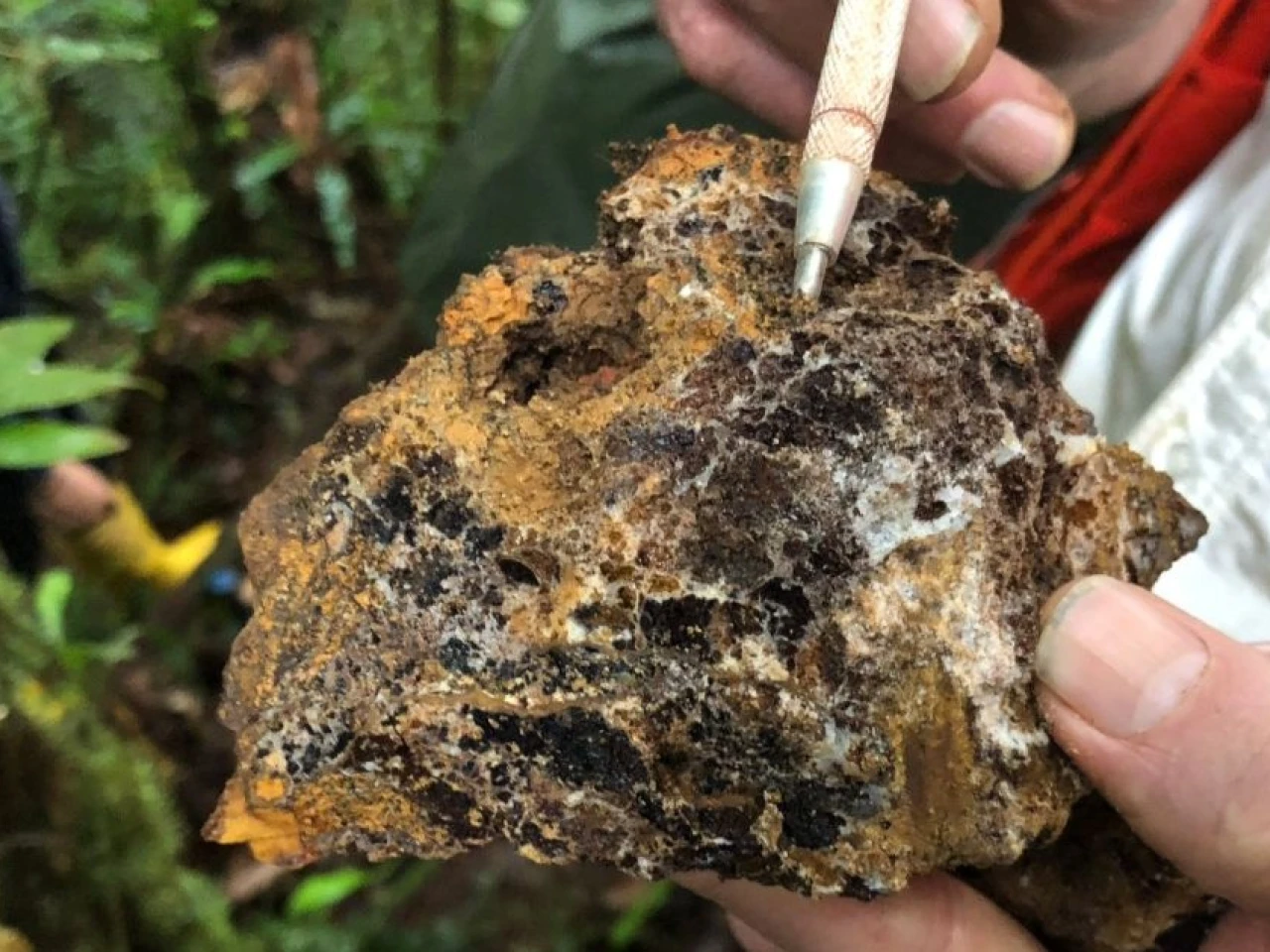 Aurania Resources suspendió sus operaciones en Ecuador