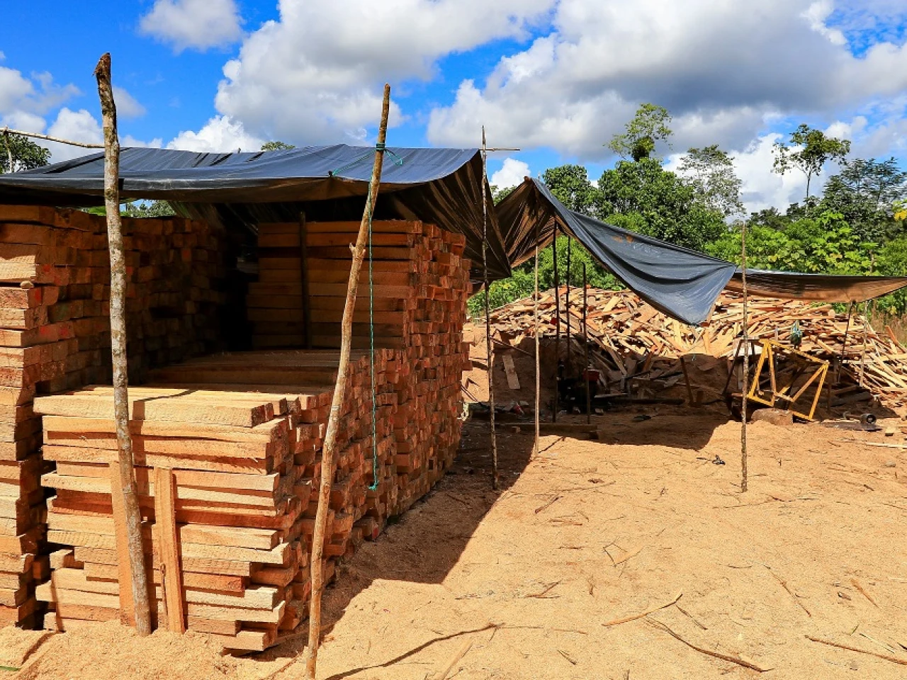 Más de 623.000 hectáreas fueron deforestadas en la Amazonía de Ecuador de 2001 a 2020 