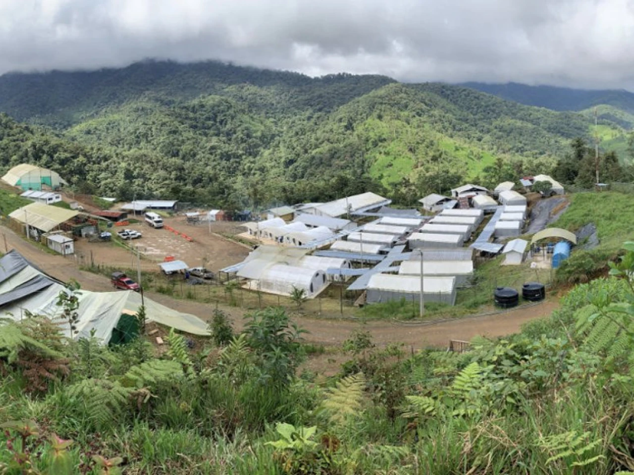 Cascabel demandará una inversión inicial de $ 1.550 millones