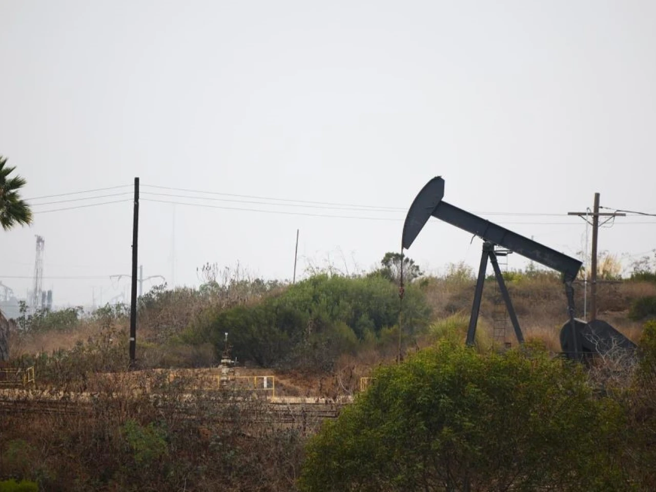 El petróleo WTI, referente de Ecuador, cayó 3,54 %