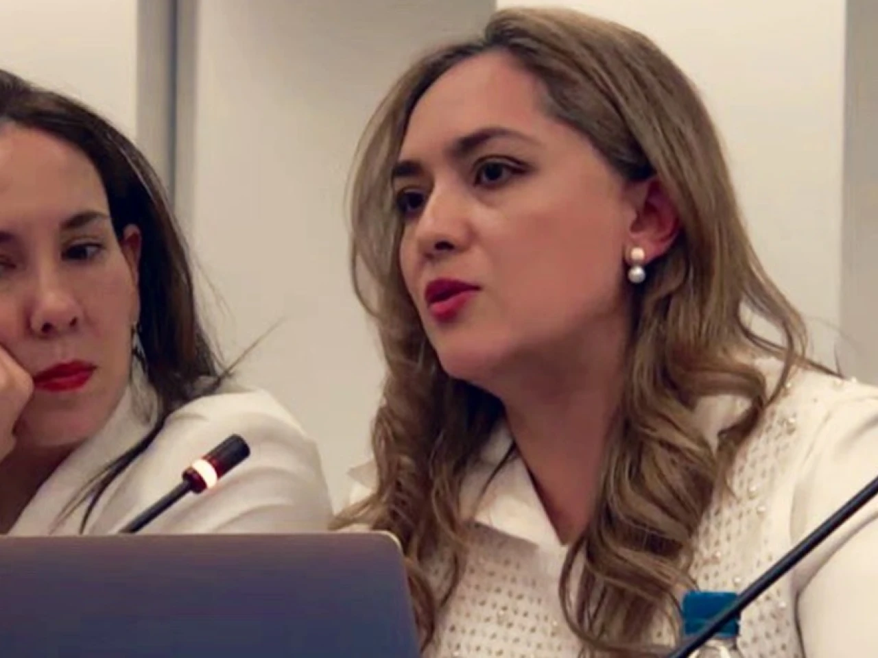 La CIDH analiza las agresiones a periodistas ecuatorianos
