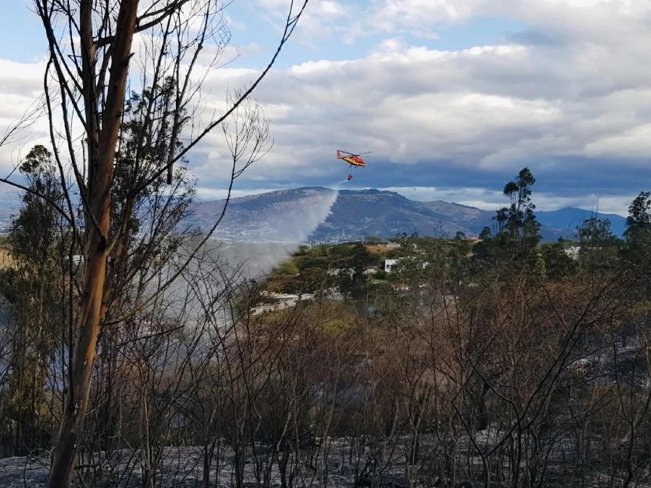16.000 hectáreas han ardido en Ecuador en las últimas 2 semanas 