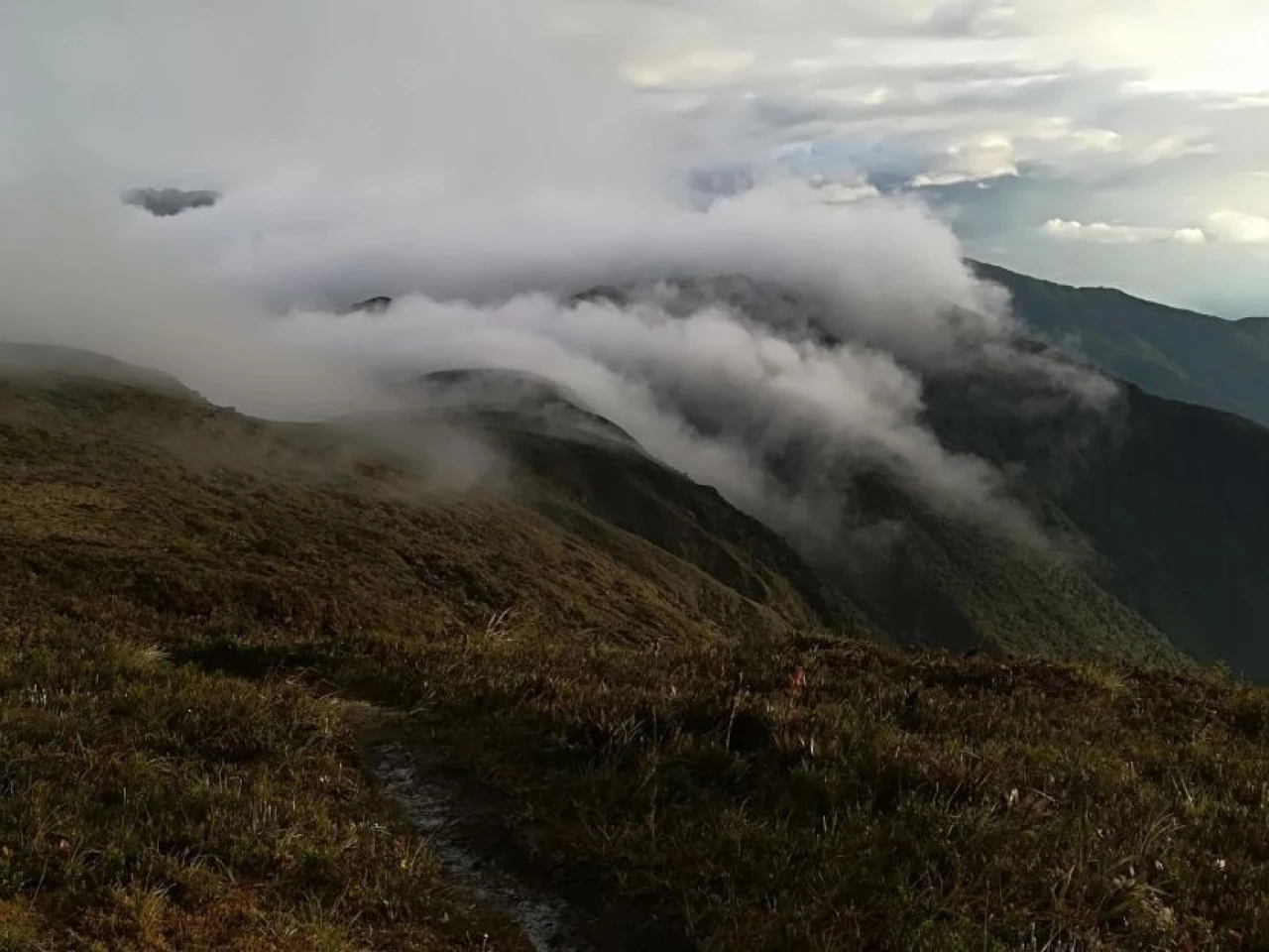 El Podocarpus, un paraíso verde entre Zamora Chinchipe y Loja